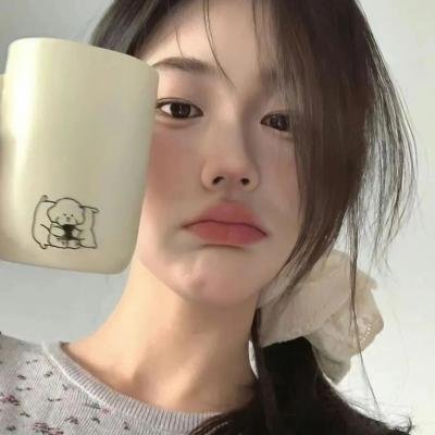 这只是鸟海报