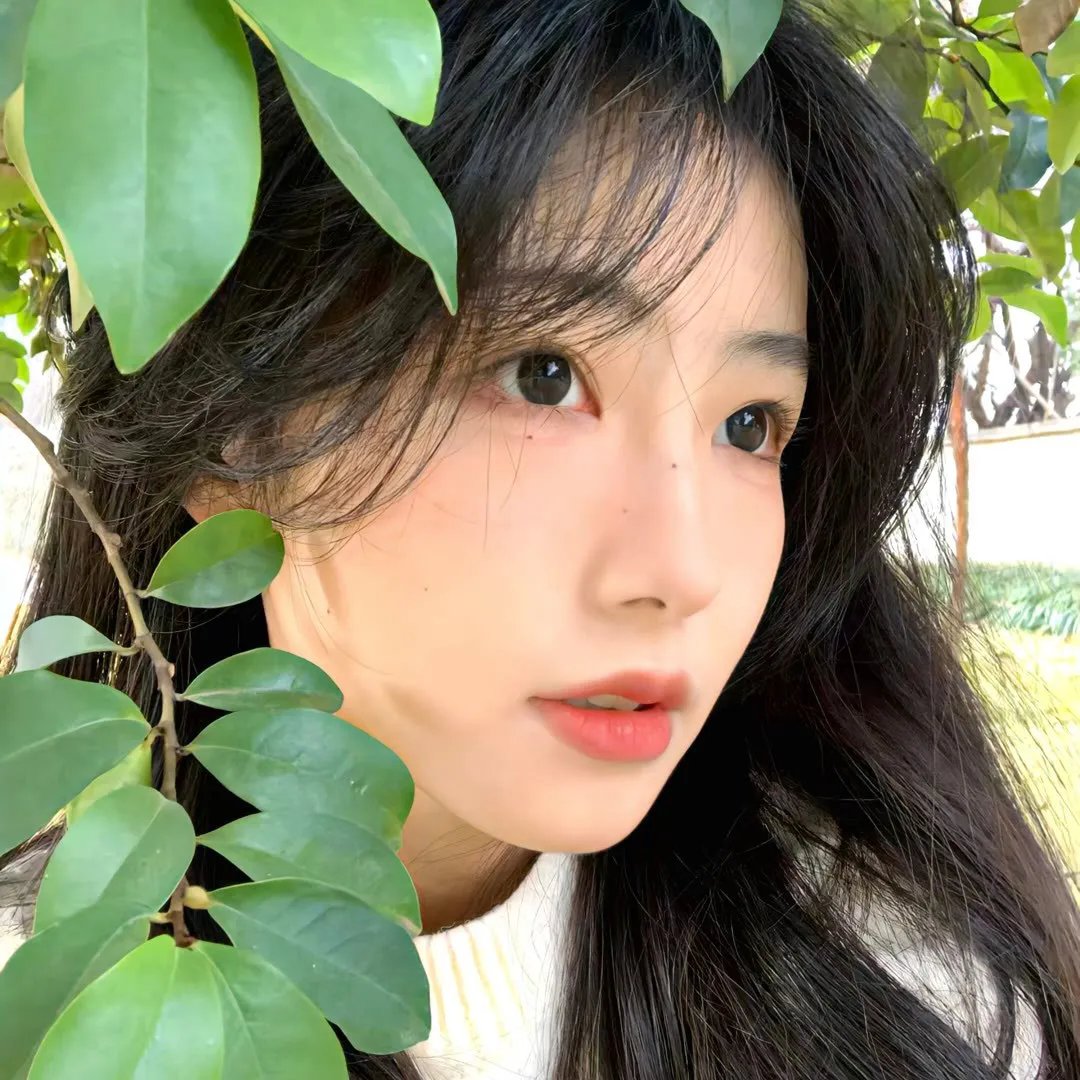 代号十三钗海报